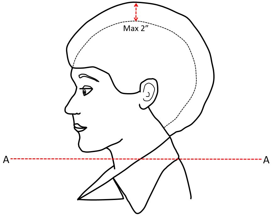 GROOMING STANDARDS FOR WOMEN Figure 2-2-2 GROOMING STANDARDS FOR WOMEN Figure 2-2-2